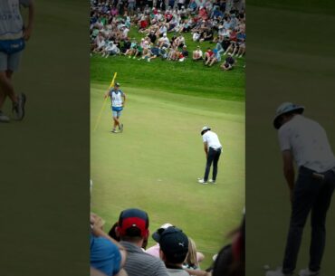 Joel Dahmen Up and Down #golf #joeldahmen