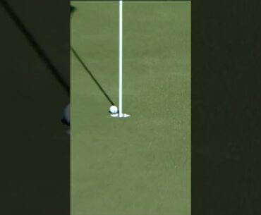 When you don't know you hit an ACE 😎