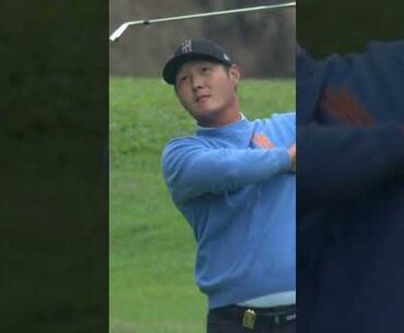 Danny is HIM 👀 #golf