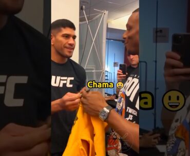 Jamahal Hill meets Alex Pereira "What does CHAMA mean? 🗿"