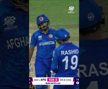 Rashid Khan unhappy after missing out on a double 👀 #cricket #cricketshorts #ytshorts #t20worldcup