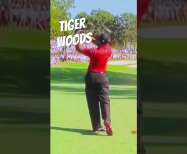 TIGER WOODS #shorts #diy #golftips #golf #golfer #short #golfswing #power #tips #videos #video