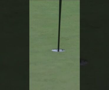 INSANE Backspin Eagle 🤯