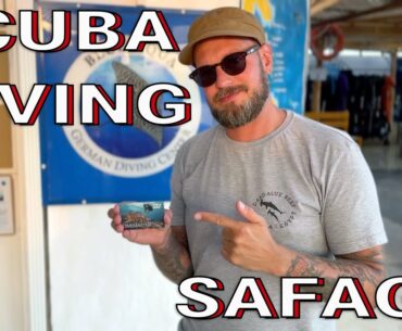 Scubadiving Red Sea - Egypt: Safaga 2024 (Cinematic underwater footage)
