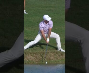 Play it as it lies 👀