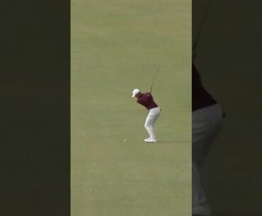 Nick Hardy ALBATROSS in Bermuda 🏌️👀
