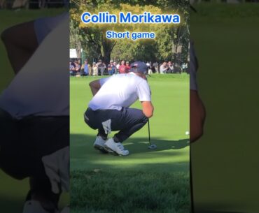 Collin Morikawa / Short Game