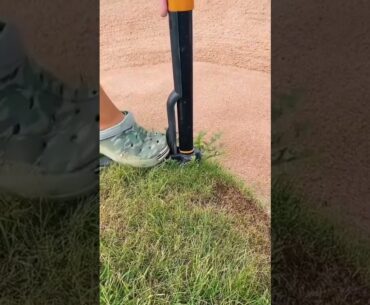 Perfect Golf Lawn Maintenance | Satisfying Machine Work