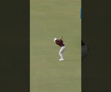 🚨 SLAM DUNK ALBATROSS 🚨Nick Hardy jars it on the par-5 17th!! #golf #pga #sports