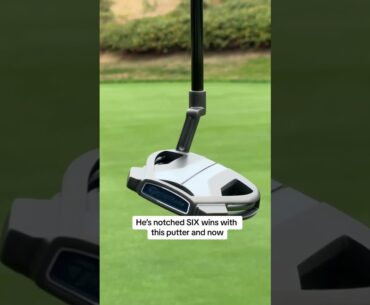 Scottie Scheffler's Spider Tour X L-Neck Putter #scottiescheffler #taylormadegolf #golf