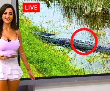 10 MOST RIDICULOUS Golf Moments Caught on Live TV