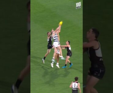 No Getting Past These Cat Claws 😼