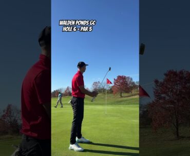 Anyone else need to work on their putting? #golf #golfing #golfswing #shorts #short