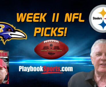NFL Week 11 Preview: Baltimore at Pittsburgh