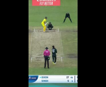 Pakistan fightback with wickets in back-to-back overs 🔥 #U19WorldCup #Cricket