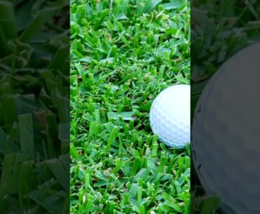 The 4 Most Important Golf Clubs That You Have To Have! #shorts #fyp