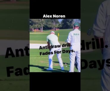 Alex Noren | Động tác khởi động trước khi swing