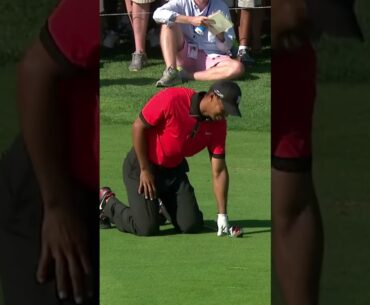 Shots from the knees! #shorts #tigerwoods #golf
