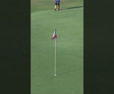 #최나연 관중석 바로 앞에서 홀아웃!! #shorts #lpga #golf #골프 #나연이즈백