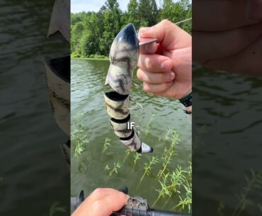 THE MOST INTIMIDATING LURE EVER MADE😨 #bassfishing #shorts #fishing