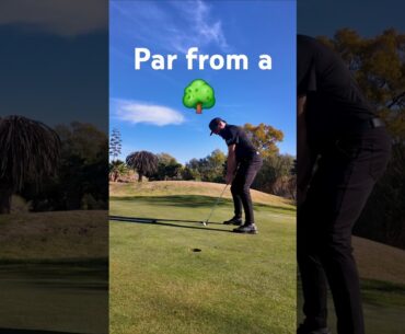 Is it possible, could you do it? #golf #golfers #golfswing