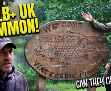60LB+ UK COMMON CARP – CAN THEY CATCH IT? | DNA BAITS | CARP FISHING | LEE MORRIS | SIMON CROW