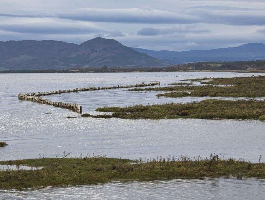 Fences and sea grass protect from erosion on the Struie Golf Course. Picture: David Bell