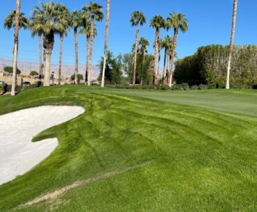 This dwarf Bermuda grass is a hot desert trend, and a famous California course has made the switch