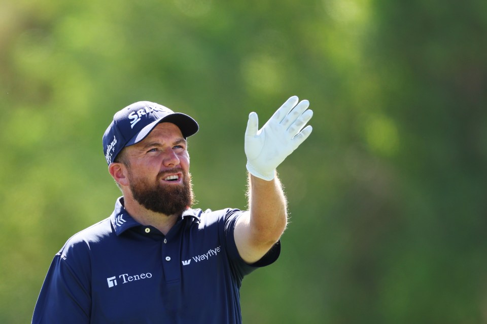 The world number 28 Irishman raked a fortune from on-course earnings from both tours