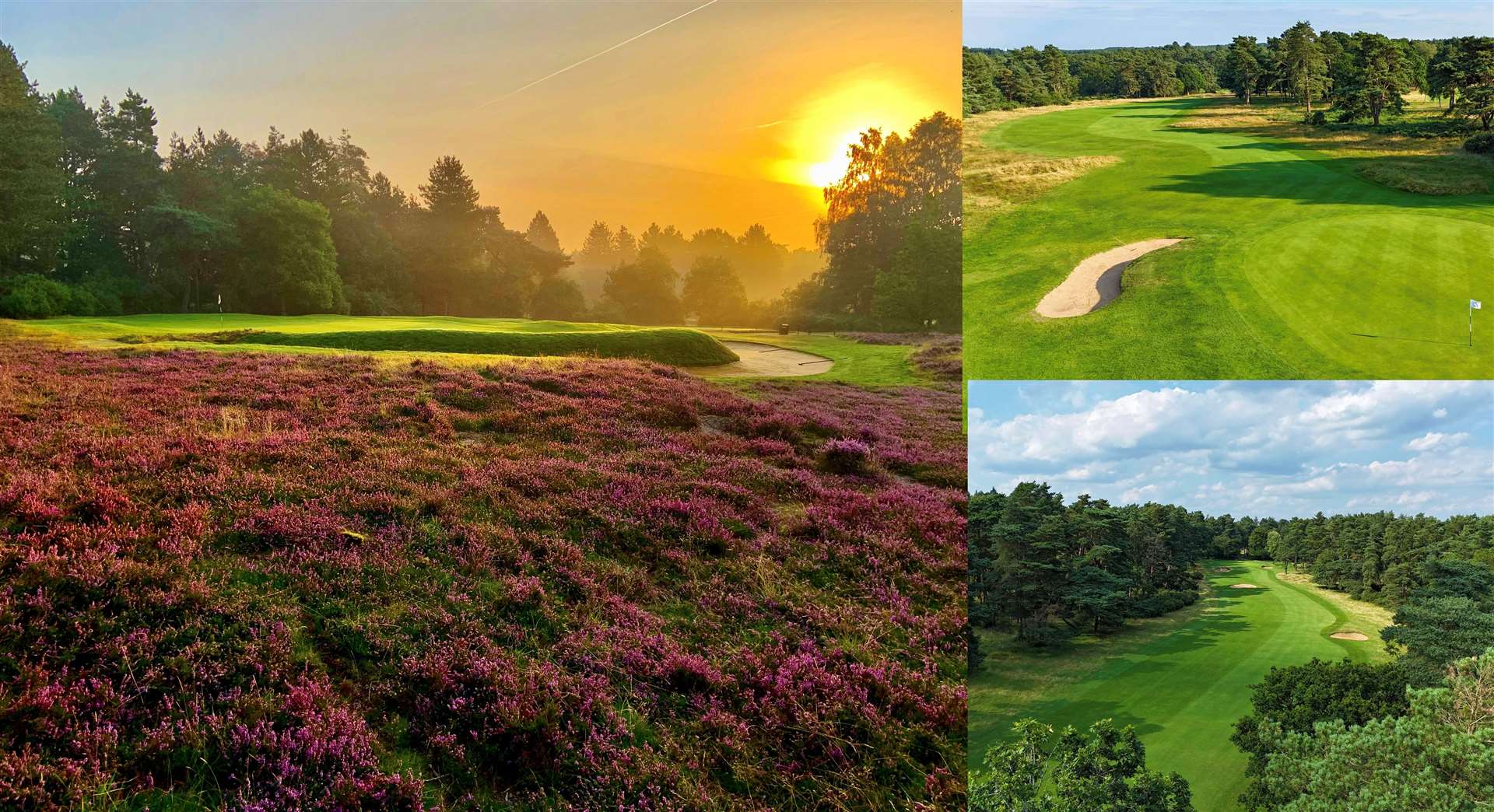Some shots of three iconic holes: 16th (main), 2nd (top right) and 15th (bottom right) at Thetford Golf Club. Pictures: David Ball / Peter Allott