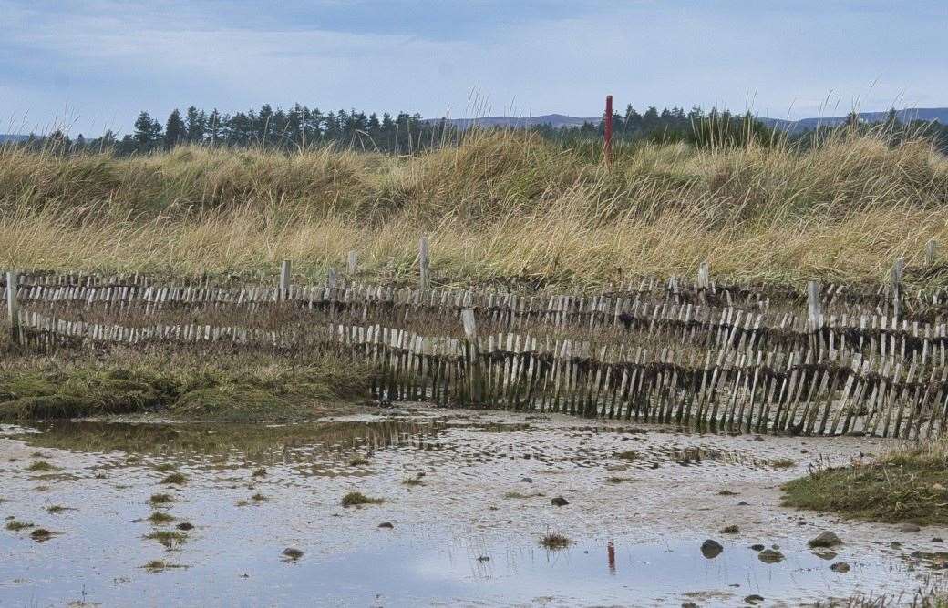 Royal Dornoch worked with the Green Shores project, supported by NatureScot's Nature Restoration Fund. Picture David Bell