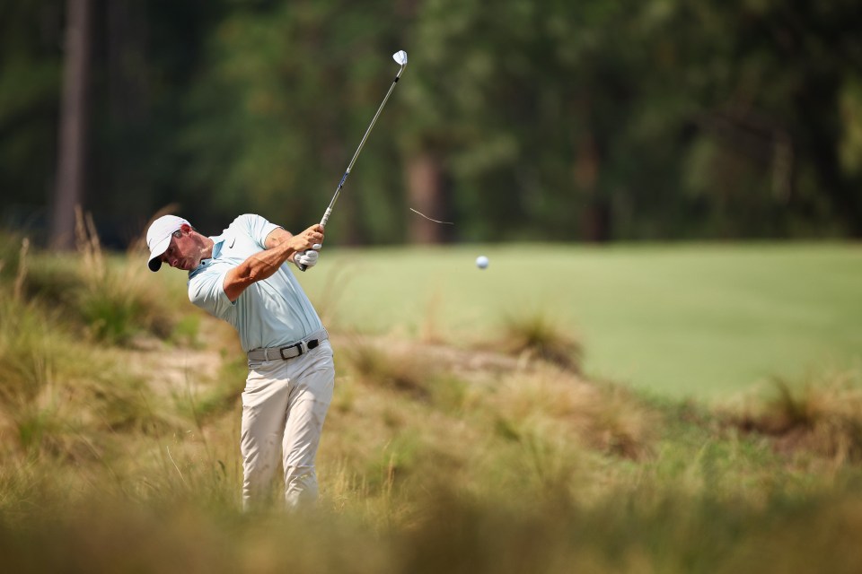 McIlroy has been looking to perfect his swing