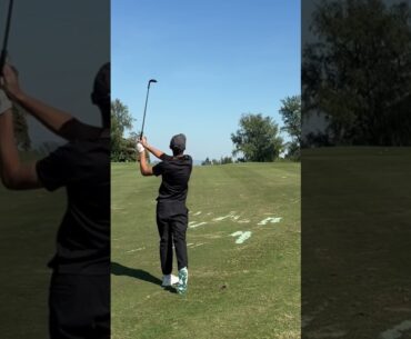 Diviot Heaven #golf #golfswing #asiancity