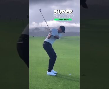 Ludvig Aberg Golf Swing - Slow Motion DTL Iron #golf #golfswing #golftips