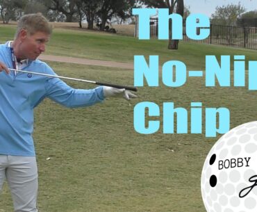 DON'T NIP YOUR CHIPS, BY BOBBY STEINER