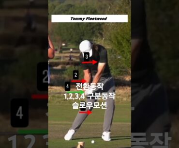 PGA 최강 파워히터중 1명! 토미 플릿우드의 환상적인 아이언 다운스윙 시퀀스!! 백스윙 깔끔하네.