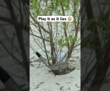 He saved par from WHERE?! 👀
