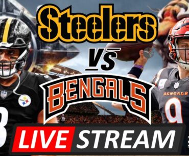 Pittsburgh Steelers vs Cincinnati Bengals  | NFL LIVE STREAM week 13
