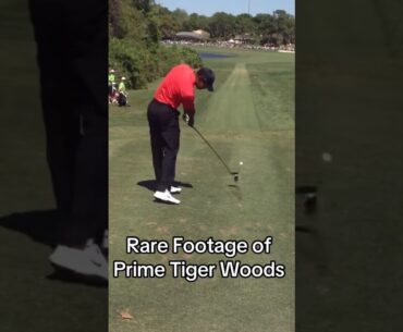 Divot with Wood🥶 Sub and like golfers❤️ #golf #tigerwoods #shorts
