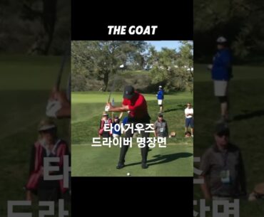 PGA의 영원한 황제. 현대스윙의 교과서. 타이거 THE GOAT 아이언 정면슬로우모션, #golf #golfswing #드라이버스윙
