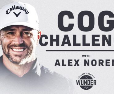 Alex Noren Driver COG Challenge | World of Wunder