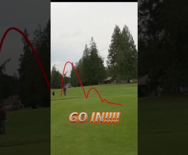 THAT MIGHT GO IN! #golf  #golfswing #golfing