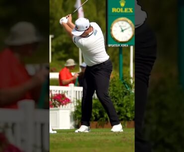 보기만 해도 도움이 되는 골프스윙 (Sungjae Im 임성재) #골프스윙 #골프레슨 #골프이미지트레이닝 #임성재프로  #골프asmr #golfasmr