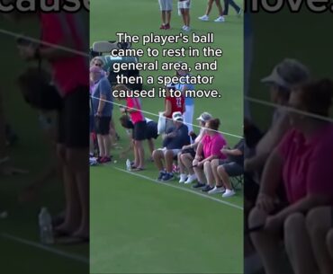 Spectator Moves Ball At Rest - Golf Rules Explained