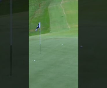 On target and on point! 🏌️‍♂️