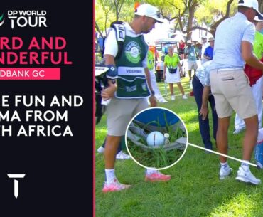 Weird and Wonderful Moments | Nedbank Golf Challenge