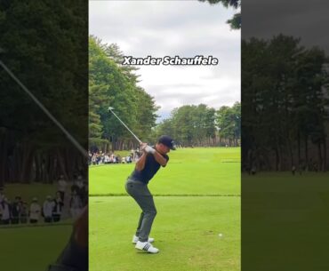 PGA Championship Golf Driver Swing Collection