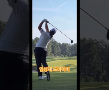 드라이버 똑바로 가는 임성재 프로