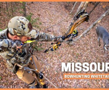 Bowhunting MidWest Whitetails with Brian Call & Mark Livesay: Big buck at 6 yards!