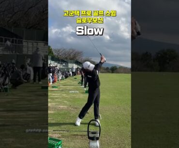 고구마골프! 고군택 프로 아이언 스윙 슬로우 모션